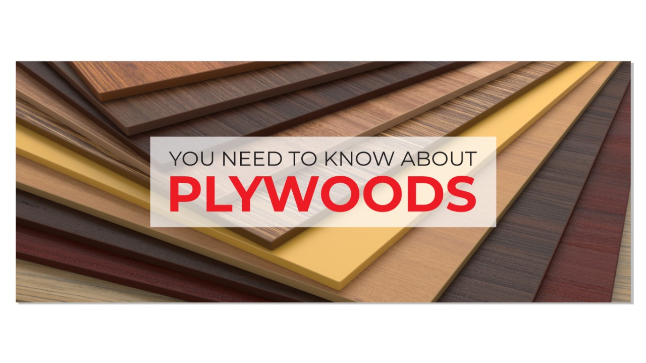 All you need to know about Plywoods Best Plywood Dealer in Chandigarh